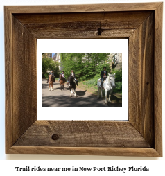 trail rides near me in New Port Richey, Florida